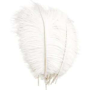 DFsucces H H _`E p ^ȃtFU[ WG[/H|i/wAANZT[ a p[eB[  Xe[W ߑ f H (30-35cm 10{)