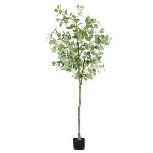 lHϗtA, 180cm̃V~[V[J, tFCN[J, tFCNA, tFCNO[, G}, , RȊ, Aȗt, bȒP, ̕KvȂ, Q