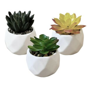 (RUNO) tFCNO[  ~j lHϗtA   CeA  3_Zbg (BZbg)