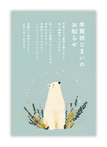 年賀状じまい ハガキ 10枚入り私製はがき(翌年も使えるデザイン)パピレイSDJ-218
