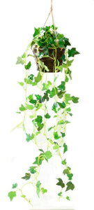 Kugusa tFCNO[ ݂艺 lH ϗtA Ǌ| ݂邵 nMO  CeAO[ 70cm (ACr[)