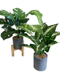 Kugusa フェイクグリーン 人工観葉植物 モンステラ 鉢植え 造花 インテリア 枯れない 2点セット 花台付き (モンステラとカラジウム)