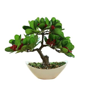 lHϗtA G} lH~̓tFCNO[ CeA U̔A̐Å̑ Ԃʎ fR[V ̑ u p Gߏ Ƃ̑ Be (red)