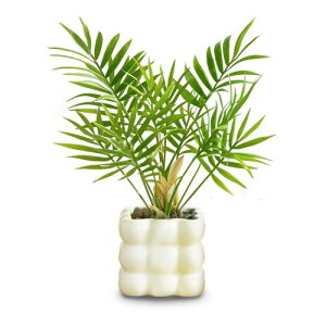 G} tFCNO[ ~jϗtA MъϗtA `oVZ~bNގp^  ϗtA tFCN t ȃCeAG bsv sv ցEItBX