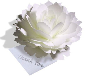 炭悤ɂЂ炭 Ԃ̃TL[J[h foro[Xf[J[hEEFfBOEAjo[T[EwEƁE̓EjENX}XJ[hEO[eBOJ[h (5zCgs