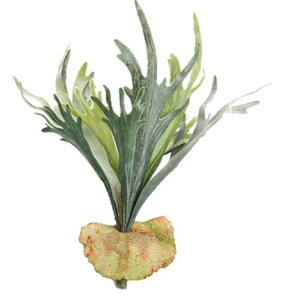 Kugusa GAvc GA[vc  tFCNO[ Ǌ| ݂艺 lH ϗtA CeA  (RE)