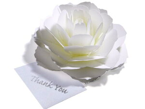 炭悤ɂЂ炭 Ԃ̃TL[J[h foro[Xf[J[hEEFfBOEAjo[T[EwEƁE̓EjENX}XJ[hEO[eBOJ[h (4zCg