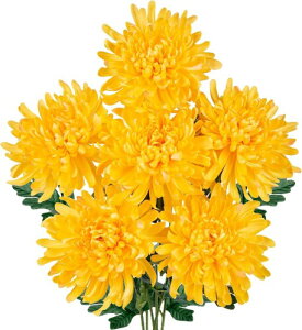 Villa Como LN e  dˋe   Ԍa15cm dp ~ ފ  ͂Ȃ A[gt[ C (6, eiFj)