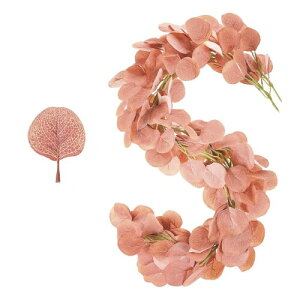 Syntelusa lHϗtA 2   tFCNO[ Ǌ| ΂̗t A h ͂Ȃ ԗ֑  p[eB[ Ǐ Be DIY  O (2M sN)