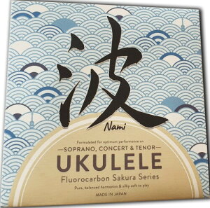 NAMI g EN \vm, RT[gAei[TCY {c (4{Zbg NAMI EN )