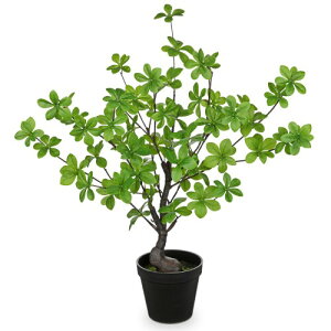 Villa Como tFCNO[ A lHϗtA 55CM hE_ccW CeAO[  ₷ sv Q쏜sv  ƒ ItBX 