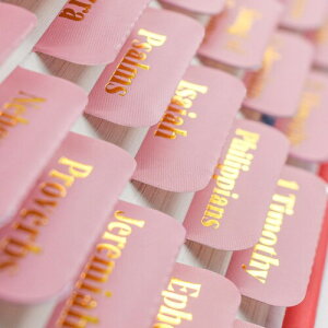 VANRA ̃^u p sN W[iOpi CfbNX^u 96 p ėp\  󔒂̔S^ut l//̎qւ̃Mtg