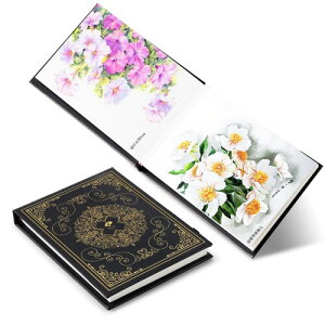 Paul Rubens �X�P�b�`�u�b�N ���ʉ�p�� 50%�R�b�g�� 300g ���� ���_ ���ʎ� 195×135mm 20�� ���S�҂���v���܂�