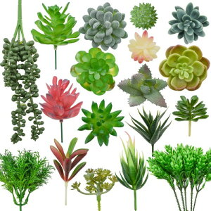 Bacucine lHA lߍ킹 Ȃ A tFCN 18_Zbg/20_Zbg ~j tFCNO[ lHϗtA vX`bN  T{e 񂹐A\ CeA  K[