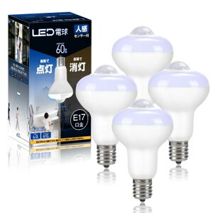 LED電球 E17口金 60W形電球色相当 全方向タイプ 610lm ミニクリプトン電球 小形電球 省エネ 断熱材施工器具対応 調光器非対応 廊下 玄関 2個入 (昼光色, 4個入)