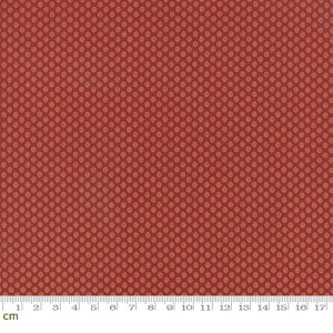 moda 13698-12 􉽊w V[`O n |p bh (n110cm×100cm)