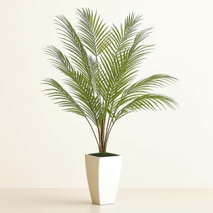 Wio MiotFCNO[ lHϗtA 105cm V̖ G}ϗtA tFCN O[ t sv Q쏜sv C L R  ItBX ƒ oRj[ Mtg