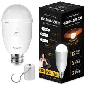 LivAiA hLEDd Ƒ̈ShЃObY ~d^ȃGld&[d d_Cg d12ԓ_ 3FFE5i ً}Cg 퓔 h ȃGl PSEEPHASE