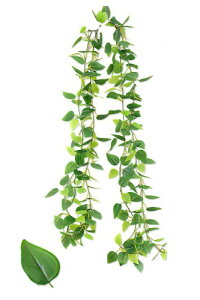 Tierneys tFCNO[ K[h tFCN[t CeA lHϗtA Ǌ| ݂艺  O x_ K[fjO (1, O[|gX, 2m jc)