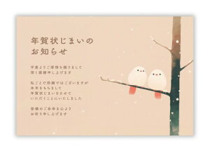 年賀状じまい ハガキ 10枚入り私製はがき(翌年も使えるデザイン)パピレイSDJ-221