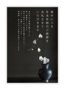 r͂ 10͂ CNWFbgΉpsCMOP-204