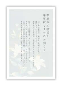 寒中見舞い(喪中のため&年賀状じまい文章)私製ハガキ10枚入りパピレイ KMJ-403