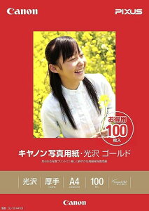 Lm ʐ^p  S[h A4 100 GL-101A4100