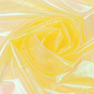 (Taiko) I[KW[ n (100cm×150cm) I[tB  n z | (CG[)