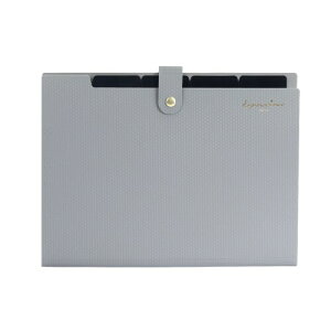 書類ホルダー オルガンパック ベーシック ファイルケース ドキュメントファイル 収納ケース ファイルフォルダー A4 5分類 仕切りフォルダー 大容量 ハンドバッグ 拡張フォルダ 教室 オ