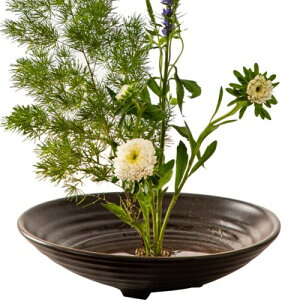 HIGHAWKԊ ؓ ԗp  ԕr  } t[x[X t[AWg a  Ov[g iuEE17CMj