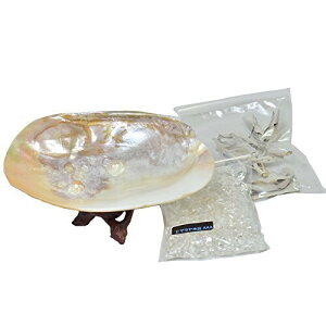 (Zhi̖@ )p[VF ̏򉻃Zbg iRuX^hԁjzCgZ[W򉻃X}bWO p[Xg[ANZT[̏ ґz N[[V ߃ObY