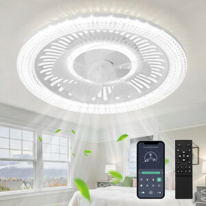 V[Ot@Cg ZXhome 50cm @  APP/Ru LEDV䃉Cg t@tV[OCg F F dF Ki/F 6Kiʒ t]؂