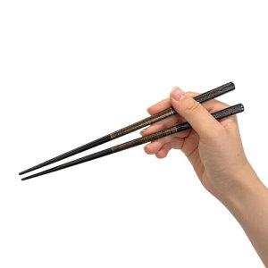 VR { ͂  a _ ؔ  ׂ~ ƒp (g jp /23cm)