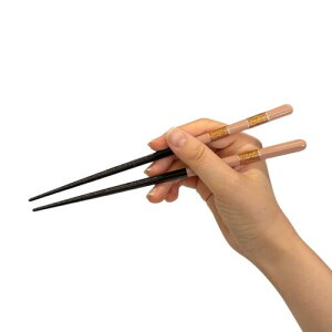 VR { ͂  a _ ؔ  ׂ~ ƒp (\ p /23cm)