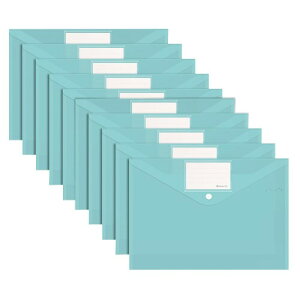 Costowns 10Zbg A4t@C NAt@C16Cpp hH e200[ xt ސ ItBXpi rWlXރP[X ގ[ ct-116 (u[)