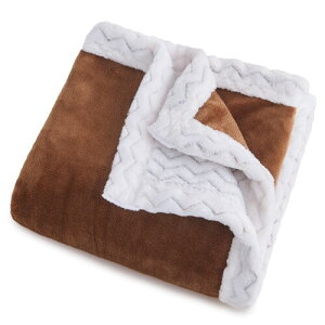 lifesure ѕz Ђ| 񖇍킹 uPbg g [ tl t[X y  I[V[Y 􂦂 Ódh~ (70×100cm uE+)