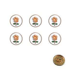 WIICOYK {^ ~j [Y Vl JtX{^ Vc {^ GKgKN͗l | DIY ANZT[p[c `[ 12mm  ܂ IW 6Zbg (IW)