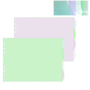 Coehaopike A4TCY CfbNX, 6, 4R2g8, PP, 4F, 290x210mm, od؃J[h, oC_[p (6i29×21cmj)