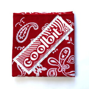 CMŗ₦ N[rbg o_i nJ` MǑ΍ lbNN[[ɂȂ 28[x]̐ߓd[ł Ŏ񌳉K⊴ 唻 54cmp  n`}L 悯Jo[ 