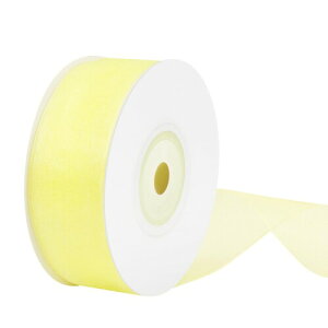 25mm×23m CgCG[ I[KW[{bMtgEu[PEap[eB[EEFfBOpe[v