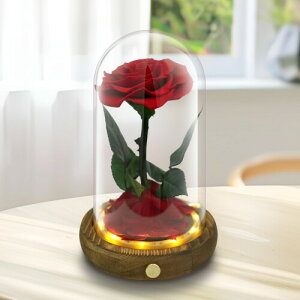 vU[uht[ 1ւ̃o LEDCgt v[g bh ͂Ȃ KXh[ {̃o {bNX ޏ a o^Cf[ NX}X  LO t[M