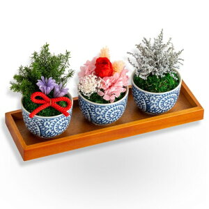 Utihana vU[uht[ ~͕ a a ސEj j v[g Mtg  CeAO[ (bonbonԃo)