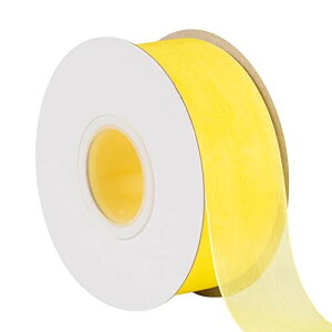 I[KW[{ 38mm 45M | DIY ԑ wAANZT[ MtgbsO EFfBOfR[V # 