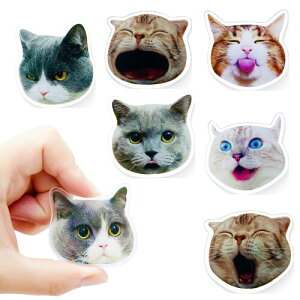 LbgwbhAN①Ƀ}Olbg7Zbg - Lb`AItBX̃zCg{[hAH􂢋@A[LrlbgȂǂ𑕏邽߂̃p[\iCYꂽ}Olbg, }