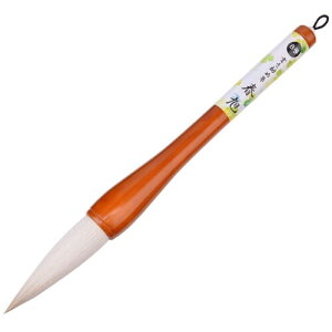 M ߕM  KM  s wZʗp w lp t (8)