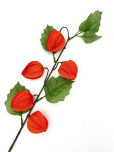 m 2025N n ~ ق  zIYL Q S A[eBtBVt[ ފ 1 ~   ᱗~  قÂ zIdL 䋟 c40cm×13cm (zIYL(FP-8359))