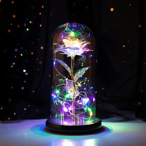 o  Lechin 24KS[h[Y ͂Ȃ bL[Y LEDCgtdr KN ԑ v[g o^Cf[ ̓ a LO NX}X VN ސE jɓK