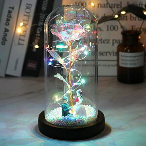 o  Lechin 24KS[h[Y ͂Ȃ bL LEDCgtdr KN ԑ v[g o^Cf[ ̓ a LO NX}X VN jɓKp ޏւ̑