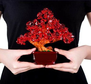 "WooJoo" ������ ���Ȃ�� �V�g���� �������C���[�Y�N�H�[�c�C�A���W�X�g���� ���^ ���Y�^ ���N�^ (���b�h crystal)