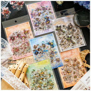 V[ R[W f t[N e Frekyar lߍ킹 킢 蒠 fR ؍  m[g  V[ ubN Zbg PET R[Wf Be[W ԁiԂтj